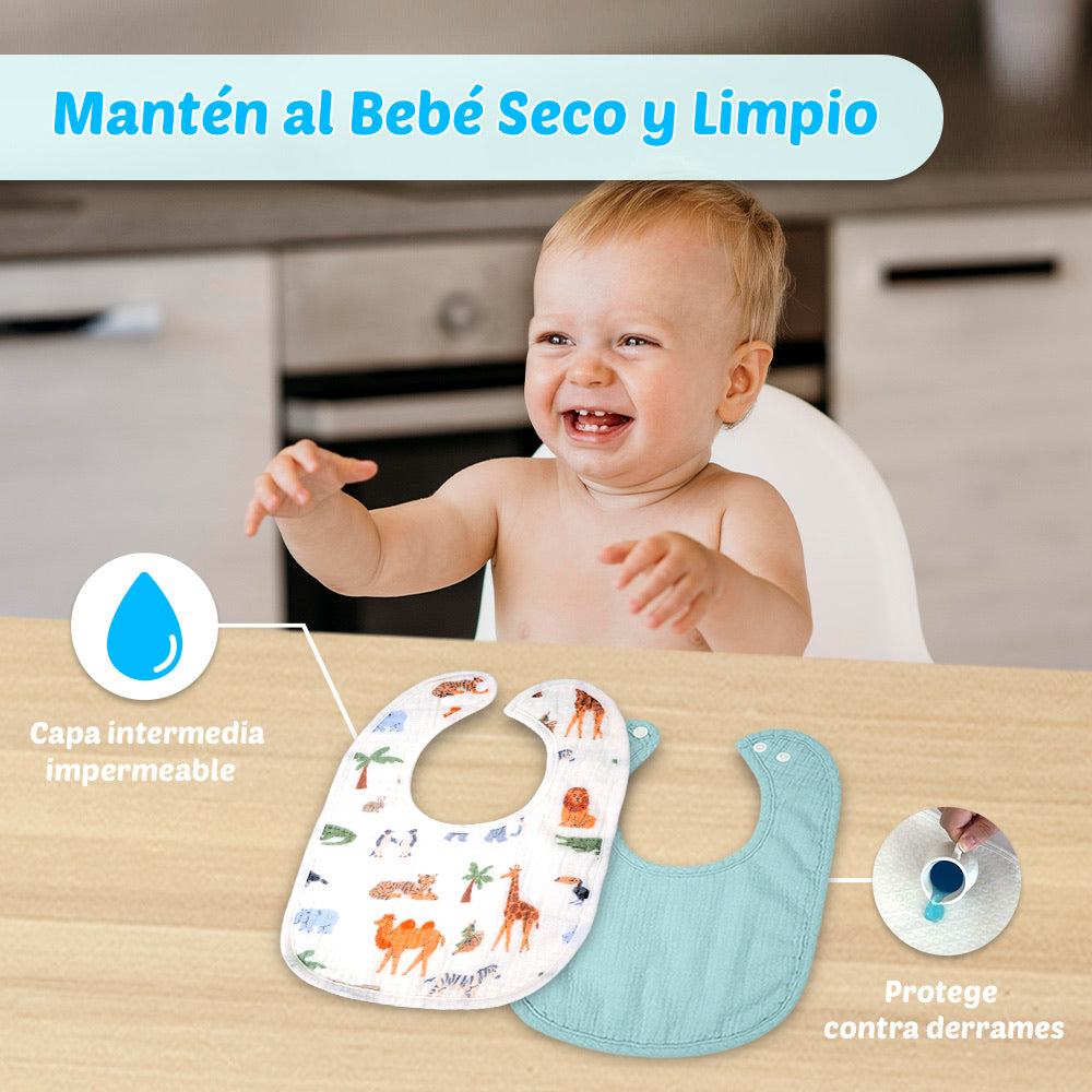 Pequeño Explorador - Pack 4u