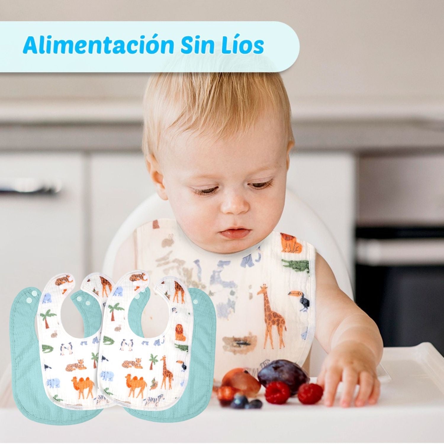 Pequeño Explorador - Pack 4u